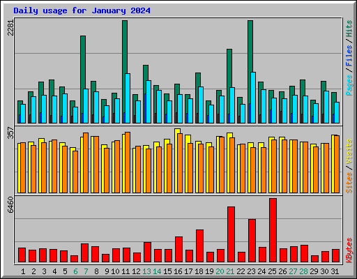 Daily usage for January 2024