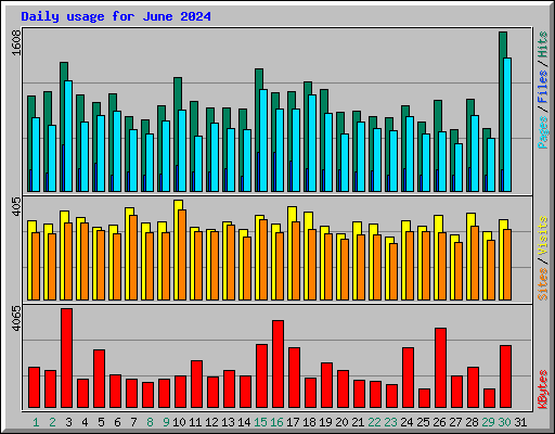 Daily usage for June 2024