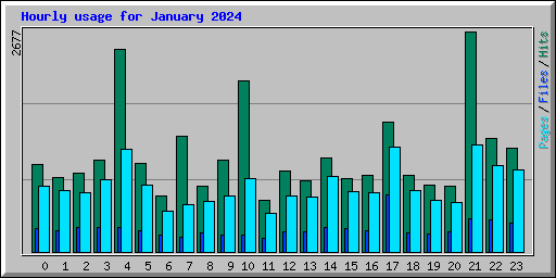 Hourly usage for January 2024