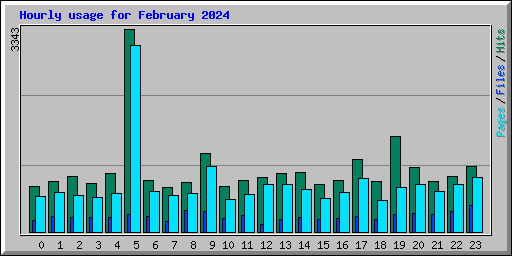 Hourly usage for February 2024