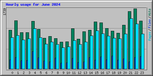 Hourly usage for June 2024