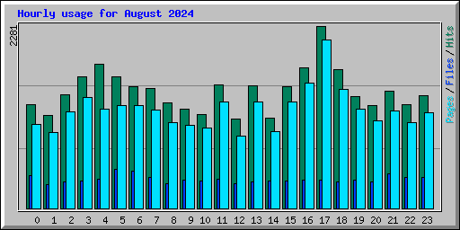 Hourly usage for August 2024